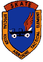 330th Radio Research Company 330th RRC Skate Patch